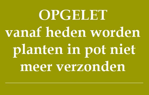 banner_niet_meer_verzenden