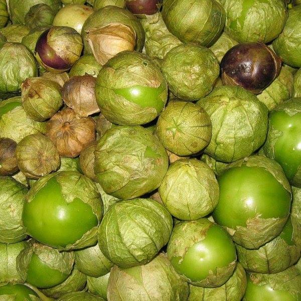 Tomatillo